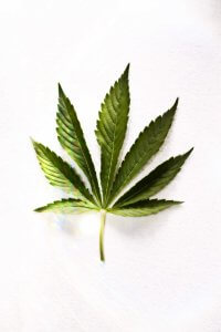 medical marijuana2