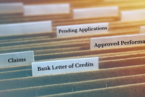 Bank Letter of Credits vs Performance Bond in Indiana