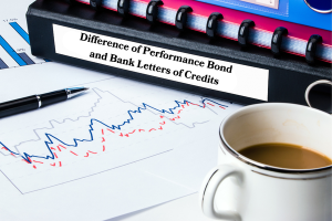 Performance Bond in the State of Hawaii and Bank Letters of Credit