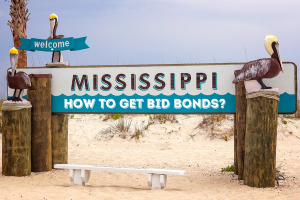 Beach-themed welcome sign in Mississippi featuring pelicans and the text 'How to Get Bid Bonds?'.