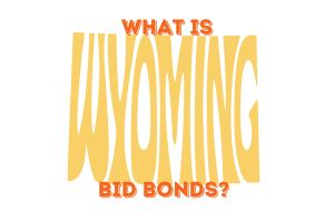 Bold and stylized text reading 'What is Wyoming Bid Bonds?' in an orange and yellow gradient font. The typography gives the text a dynamic, eye-catching look, ideal for a title screen or header related to bond information.