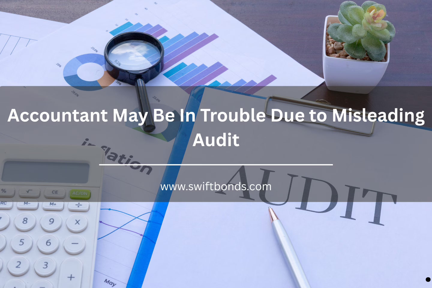 Accountant May Be In Trouble Due to Misleading Audit
