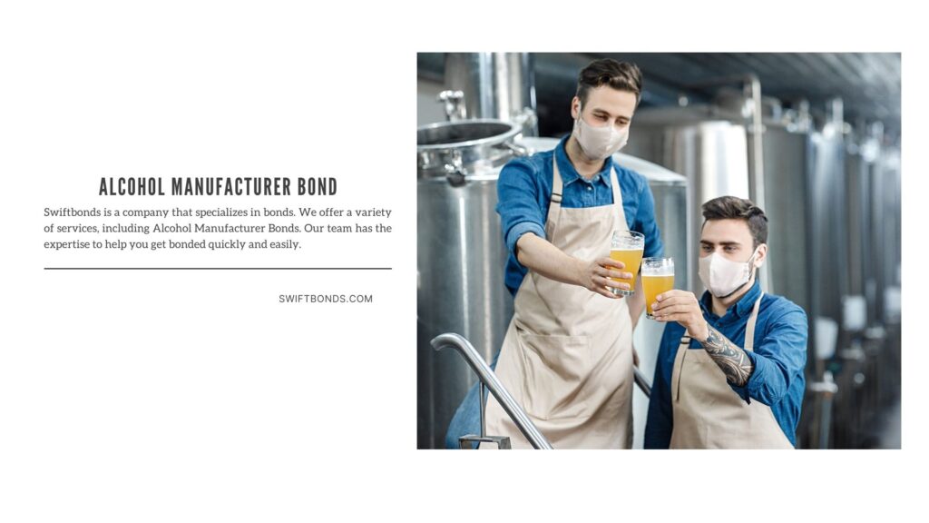 Alcohol Manufacturer Bond - Two male brewers work in beer manufacturing factory.