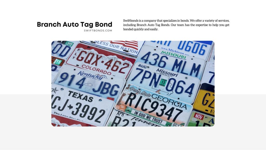 Branch Auto Tag Bond - Car license plates in rows.