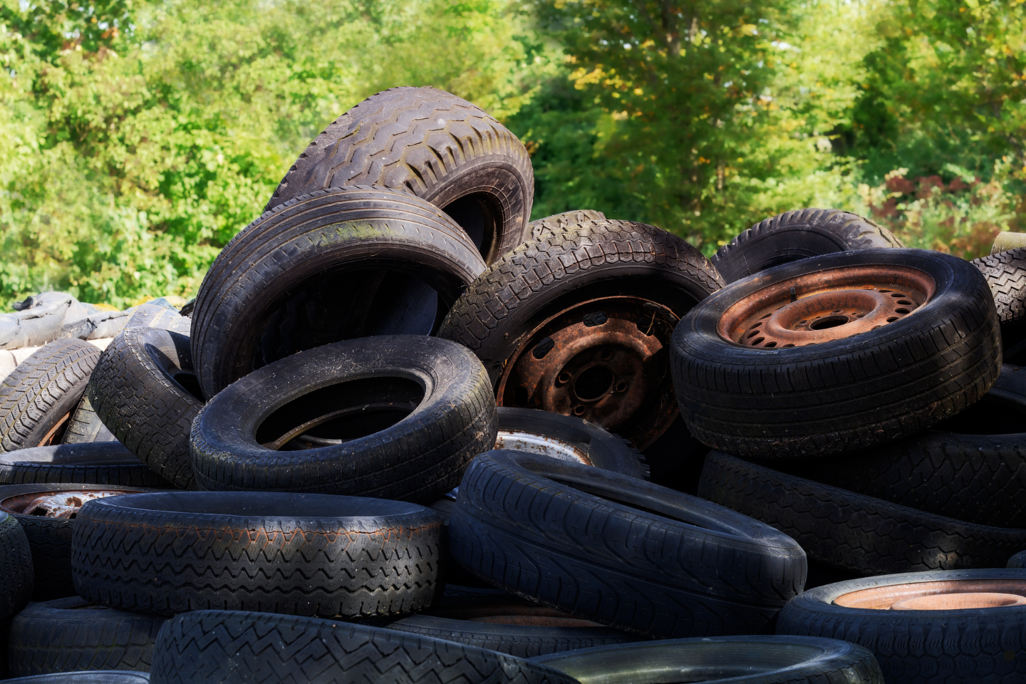 A large heap of discarded tires, including several with rusty metal rims, in a wooded outdoor setting.