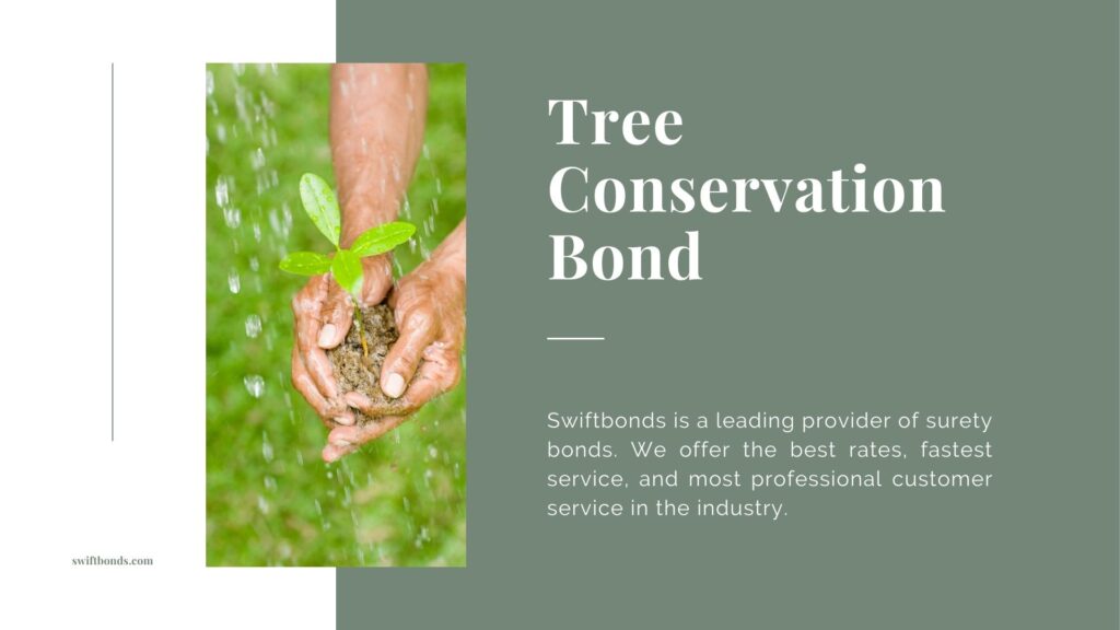 Tree Conservation Bond - A strong and mascualine pair of hands clutches soil that is sprouting new seedling while water falls giving it a new life.