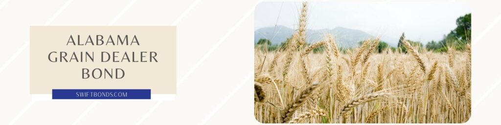 Alabama Grain Dealer Bond - A field with grain ripe for harvest.