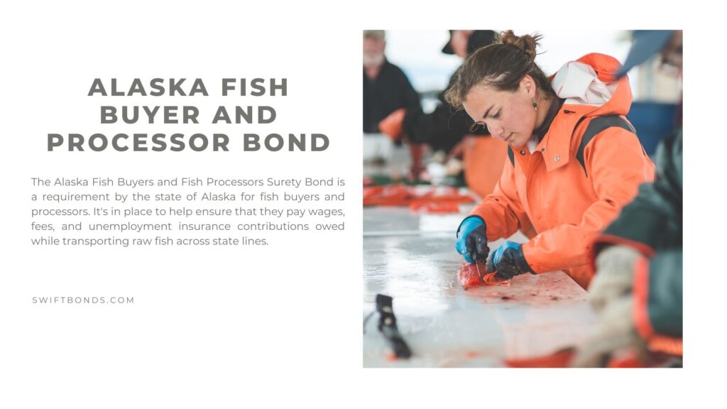 Alaska Fish Buyer and Processor Bond - Female fish worker wearing gloves carefully uses knife to fillet fish in a warehouse.