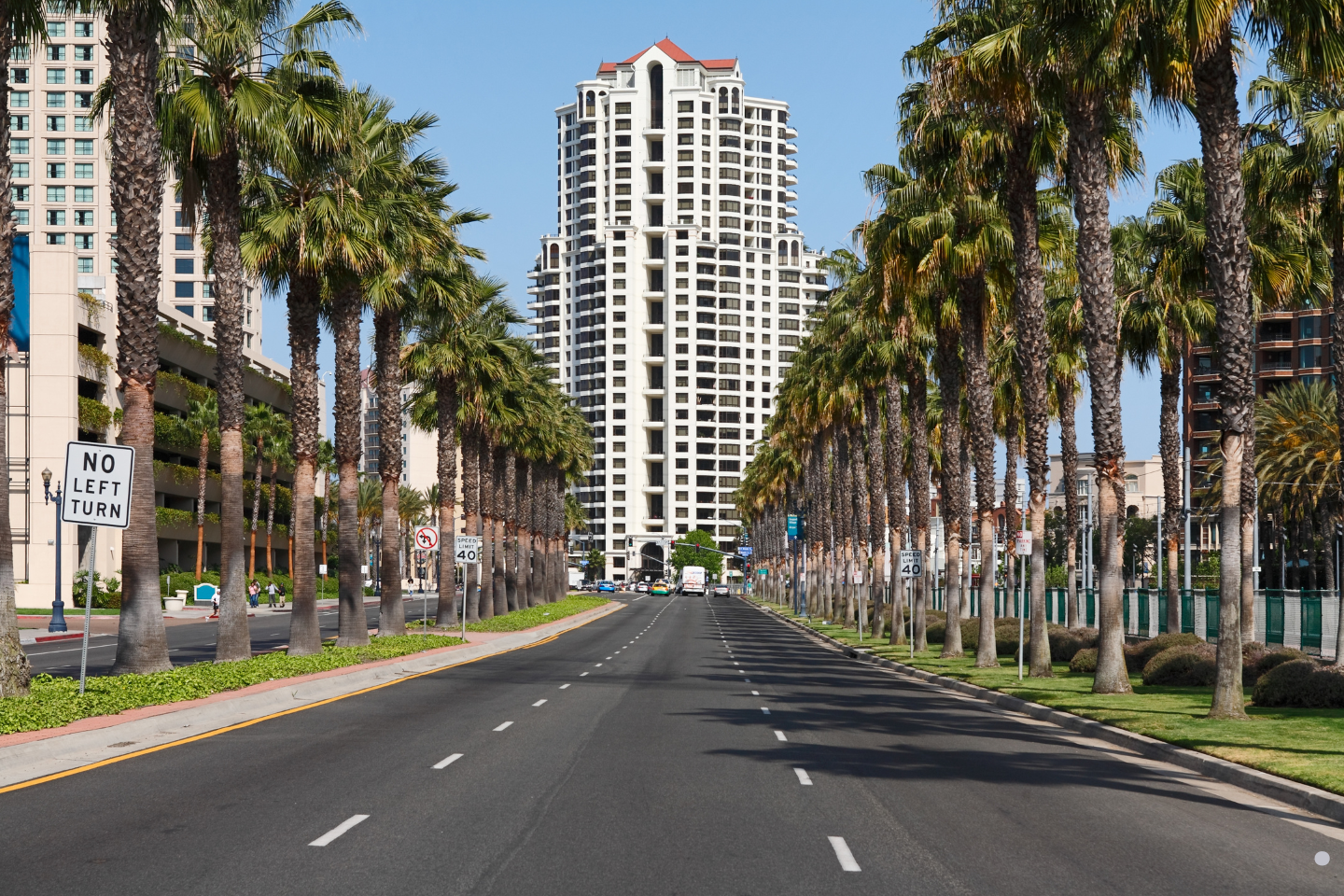 A wide boulevard lined with tall palm trees leading toward a high-rise building in the distance.