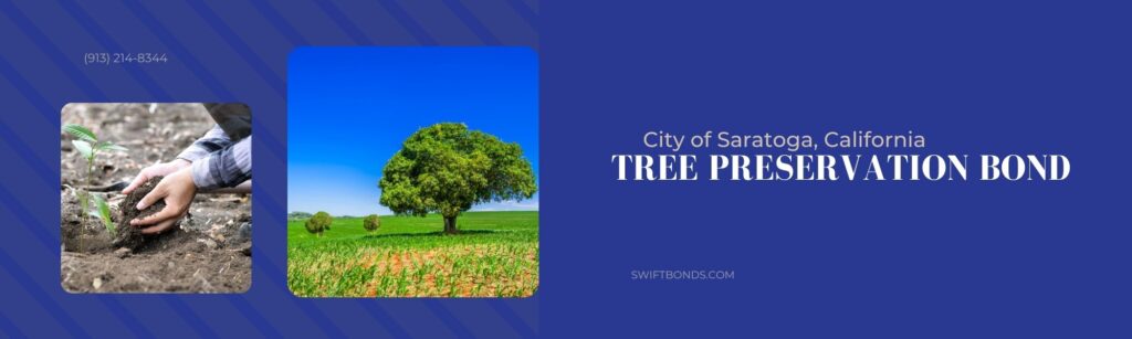 City of Saratoga, CA – Tree Preservation Bond - Hand of male planting a tree in a natural environment. Tree preservation of nature and environment.