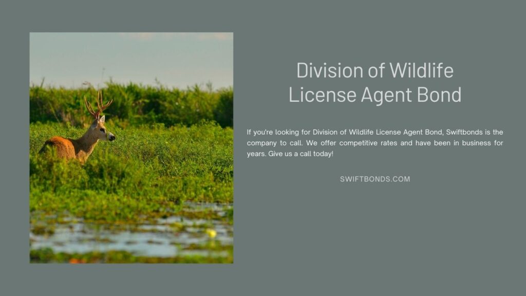 Division of Wildlife License Agent Bond - Brown moose on green leafed grass.
