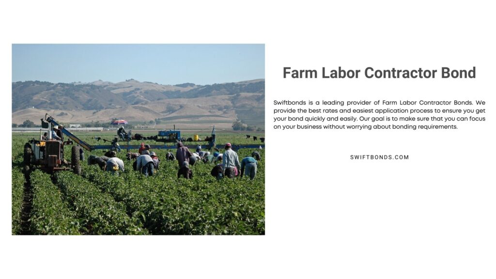 Farm Labor Contractor Bond - farm workers harvesting yellow peppers in california.