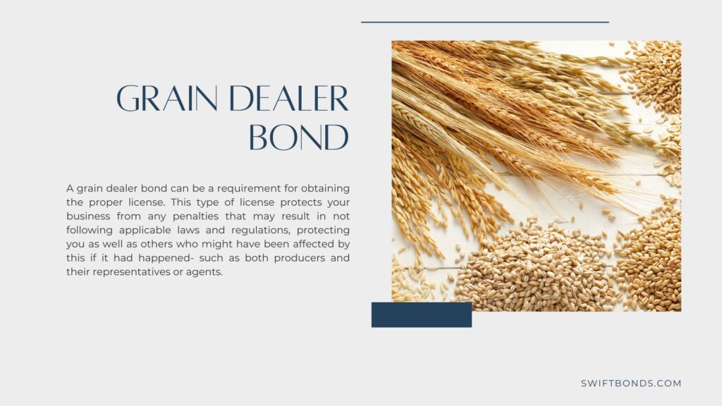Grain Dealer Bond - Various type of cereals and grains againts white wood background.