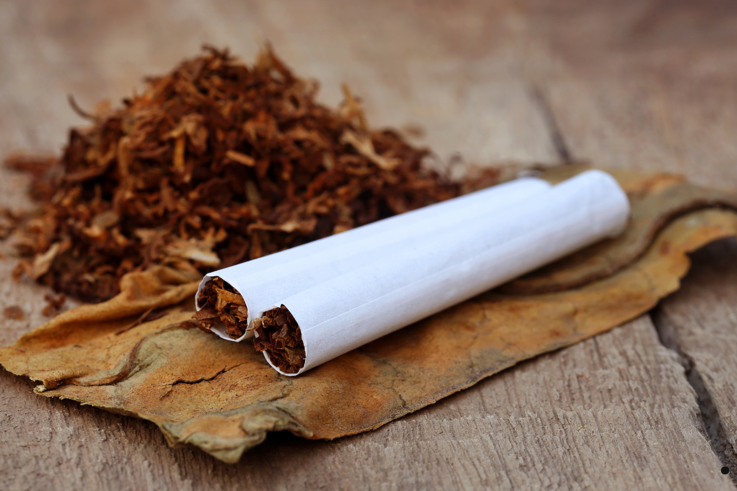 Two hand-rolled cigarettes resting on dried tobacco leaves.