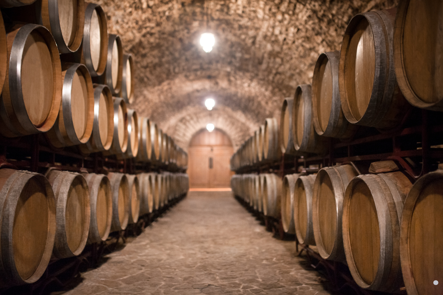 Wooden wine barrels stacked in rows inside an arched, dimly lit cellar.