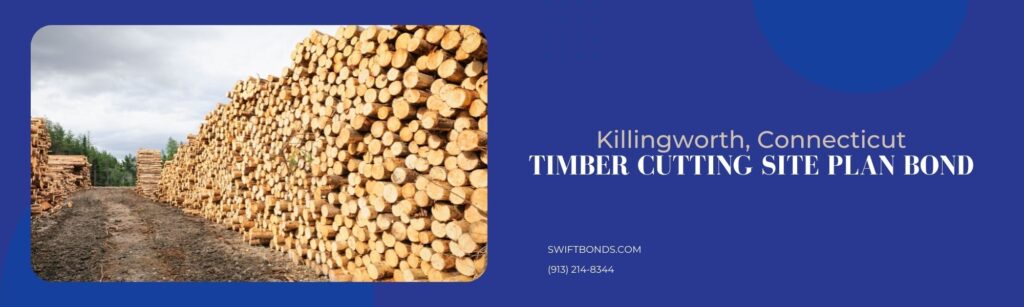 Killingworth, CT – Timber Cutting Site Plan Bond - Large stacks of cut timber logs at a sustainably manage pine forest.