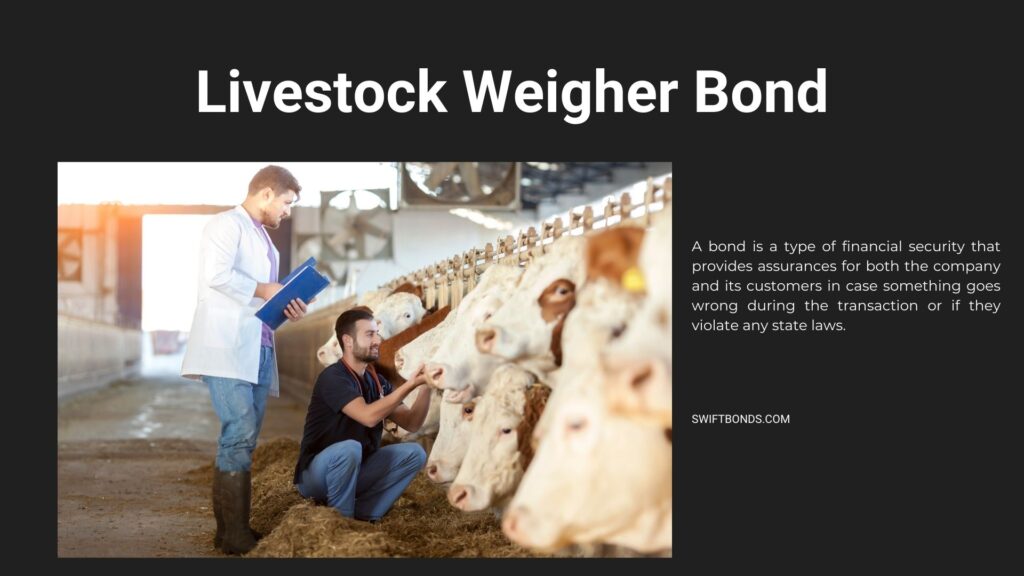 Livestock Weigher Bond - A line of cows being check by a the owner and a vet.