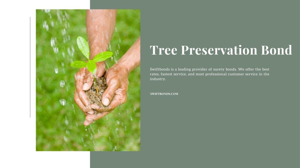 Tree Preservation Bond - A strong and mascualine pair of hands clutches soil that is sprouting new seedling while water falls giving it a new life.