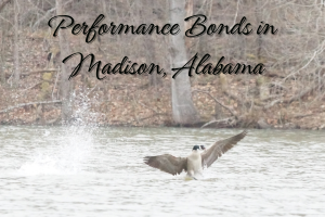 A scenic view of a lake in Madison, Alabama with a goose in flight, overlaid with the text 'Performance Bonds in Madison, Alabama,' symbolizing local financial protection.