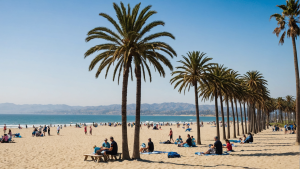 Image showcasing the iconic Oxnard Beach Park with palm trees, sandy shores, and a picturesque view of the Pacific Ocean. Include families enjoying a picnic and playing beach volleyball.