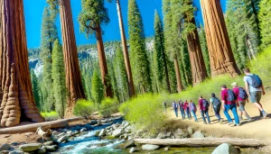 an image of a group of friends hiking through Sequoia and Kings Canyon National Parks near Visalia, CA. Show towering sequoia trees, a flowing river, and a clear blue sky.