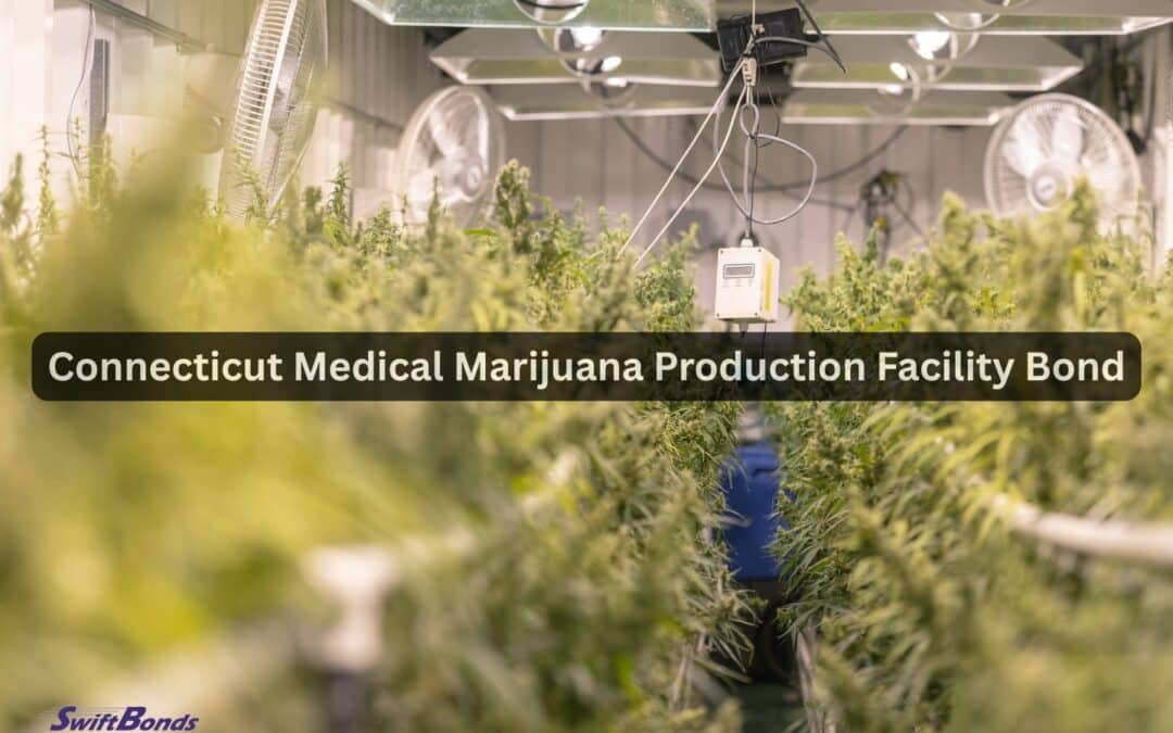 Medical marijuana is grown on-site. indoor space.