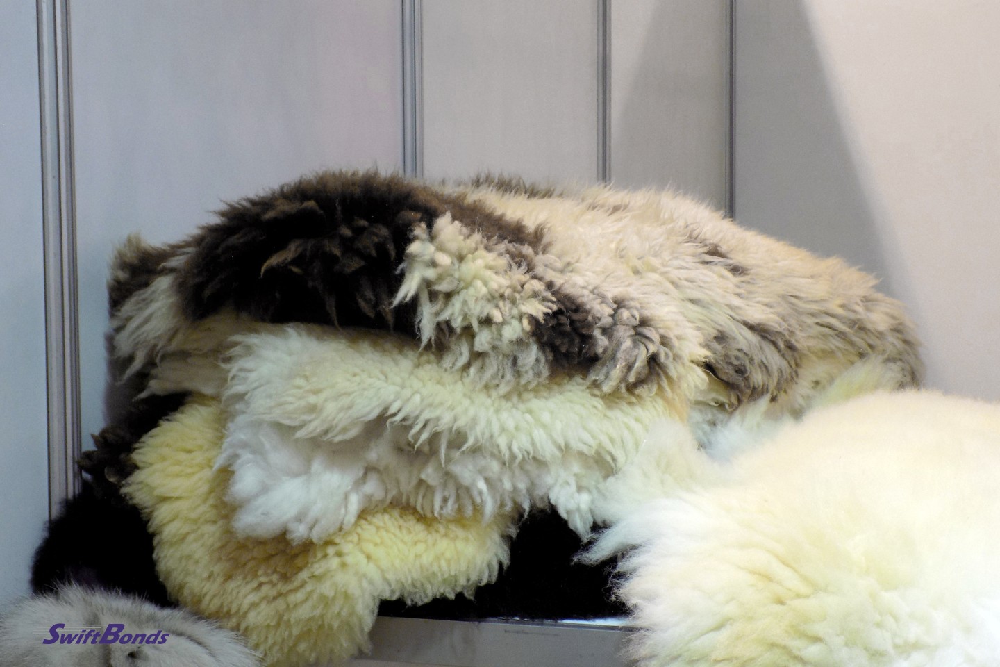 Fur apparel at the shop.