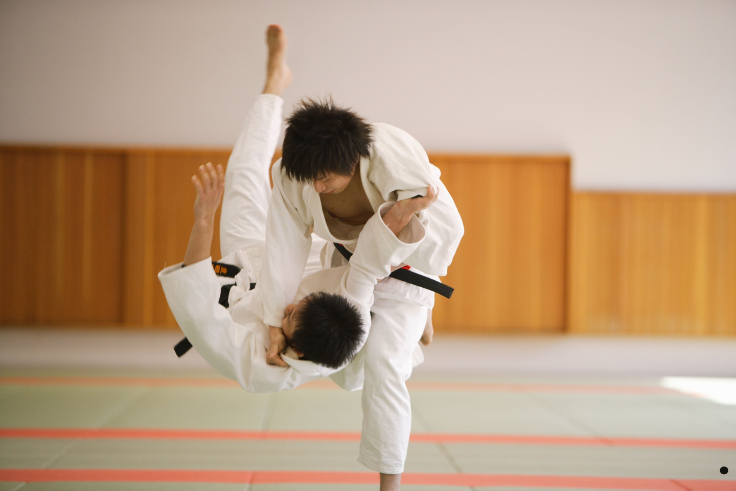 Martial artists practicing a judo throw during training.