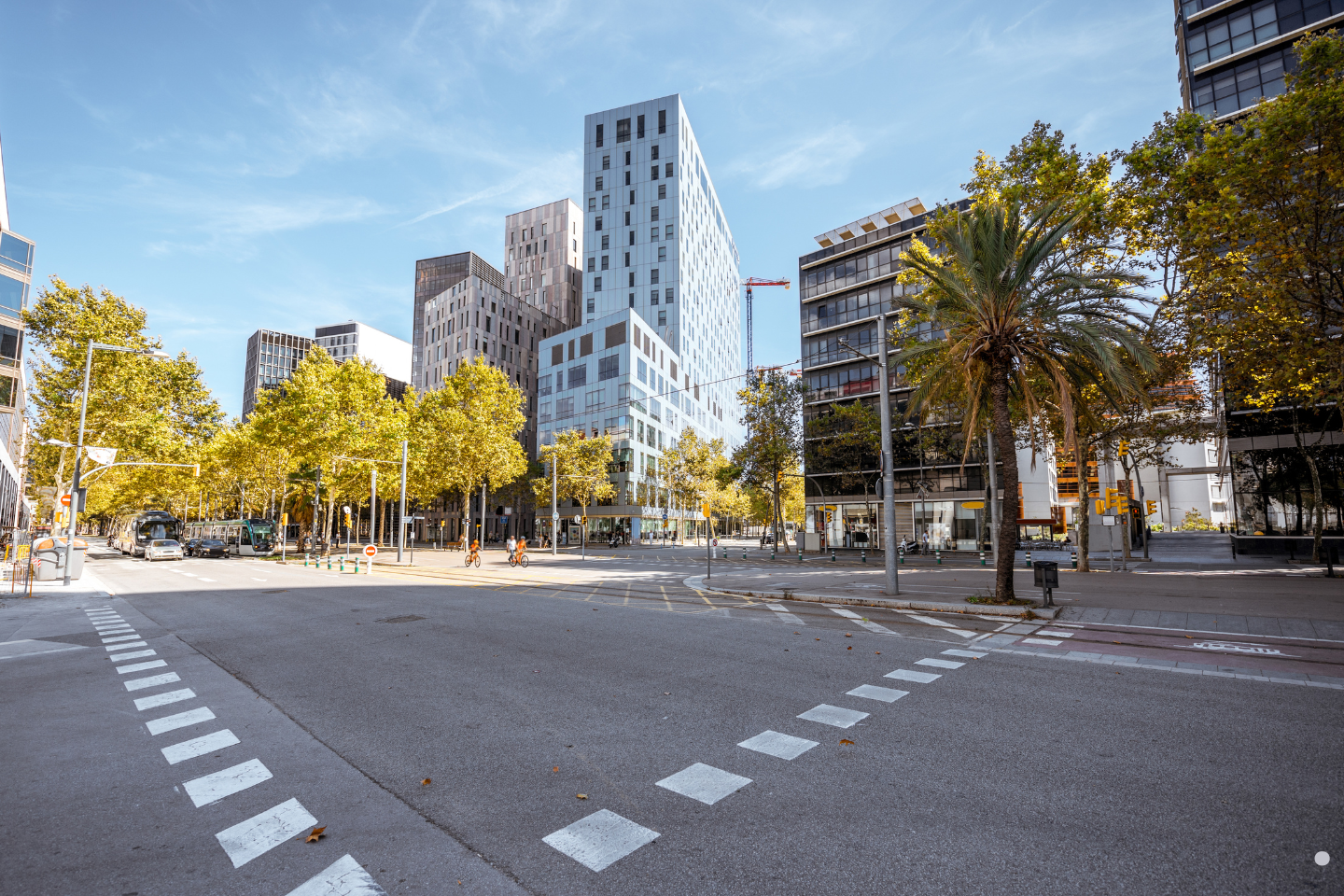 A modern urban intersection surrounded by contemporary high-rise buildings and bright foliage.