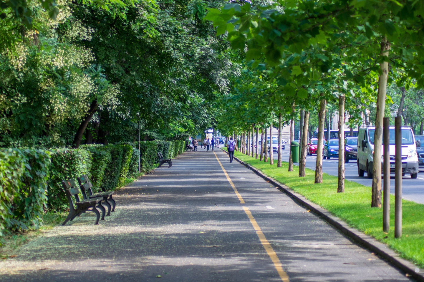 A tree-lined pedestrian walkway with benches and people walking along a shaded path.