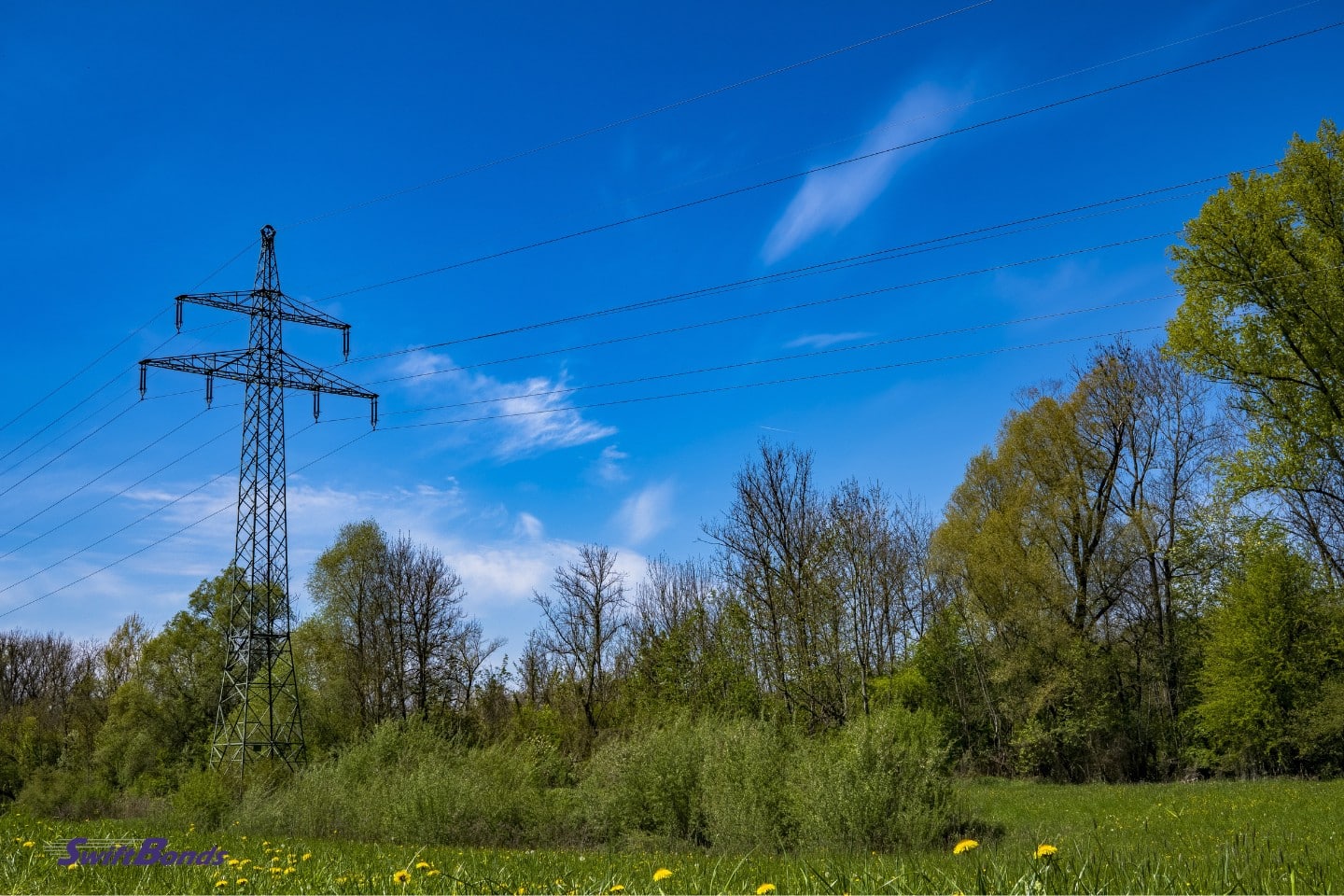 Grass field with a black utility post.
